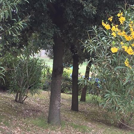 Appartamento Dell Agriturismo Pane E Olio Todi Kültér fotó