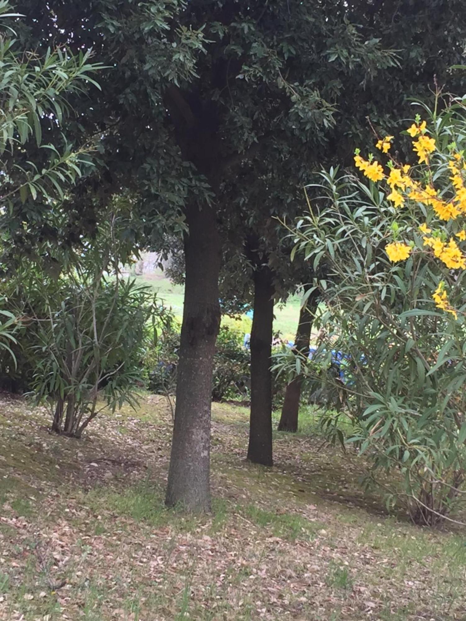 Appartamento Dell Agriturismo Pane E Olio Todi Kültér fotó