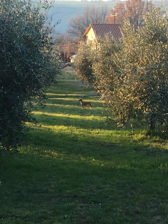 Appartamento Dell Agriturismo Pane E Olio Todi Kültér fotó